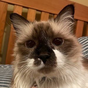 Meet your Posher, Mary